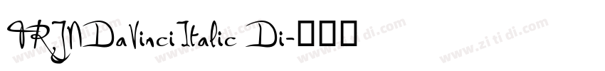 TRJNDaVinciItalic Di字体转换